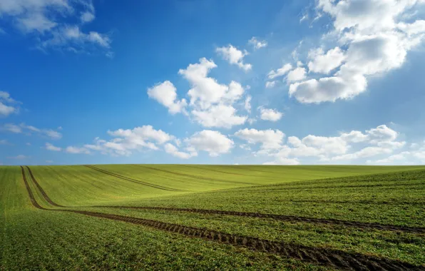 Greens, field, clouds, traces, spring, neo