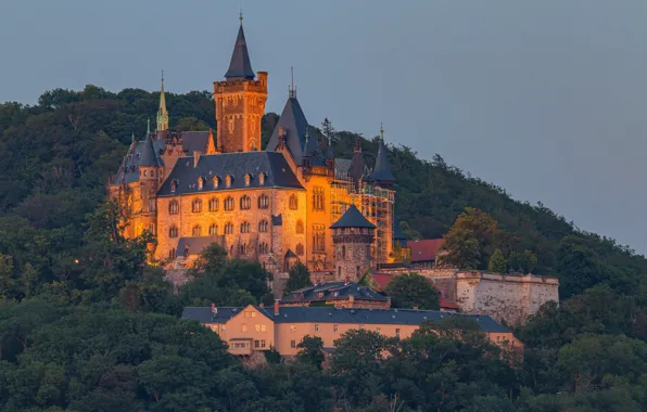 Forest, castle, mountain, Germany, architecture, Germany, Saxony-Anhalt, Saxony-Anhalt