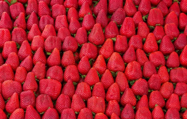 Picture berries, strawberry, abundance
