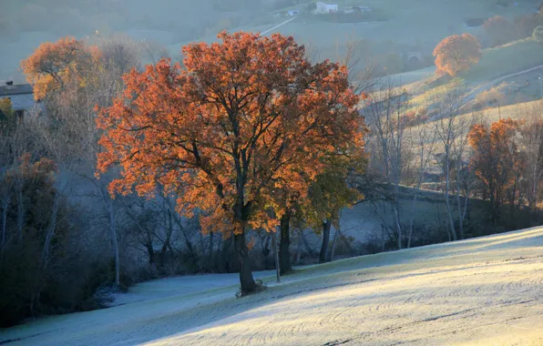 Field, autumn, snow, trees, mountains, hills, haze