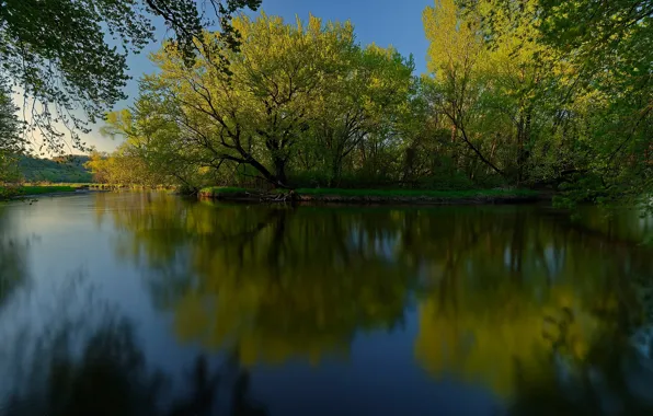 Greens, trees, reflection, river, Wisconsin, Wisconsin, La Crosse River, The La Crosse River