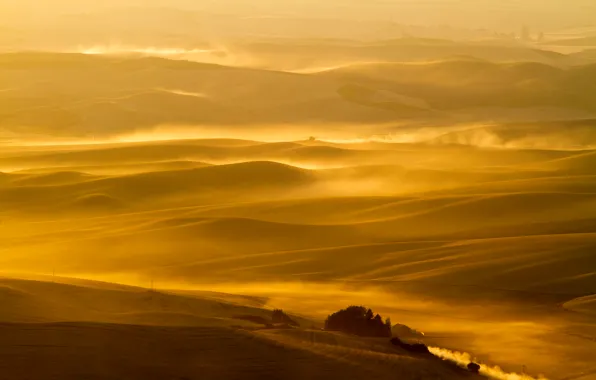 Field, trees, house, hills, dust