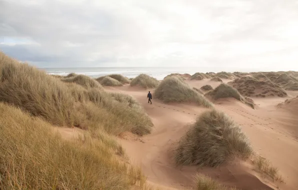Grass, beach, sea, ocean, seascape, sands, man, trail