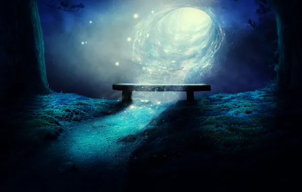 Forest, light, trees, bench, night, fiction, glade, the portal