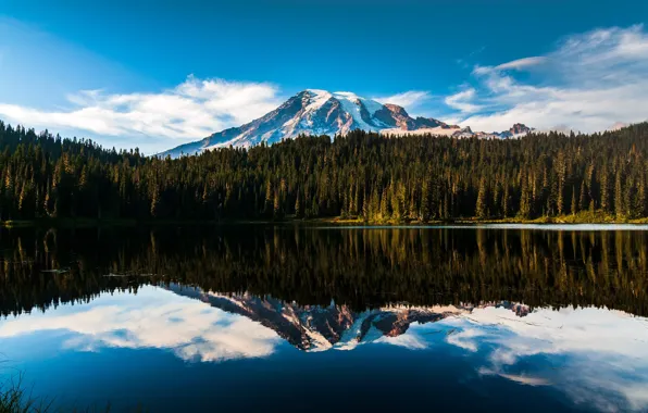 Forest, the sky, water, clouds, trees, mountains, nature, lake