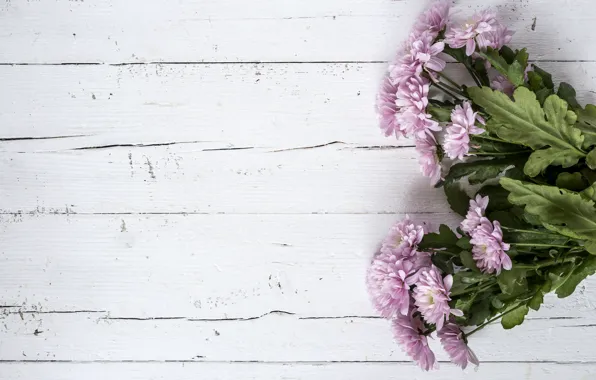 Flowers, background, pink, chrysanthemum, wood, pink, flowers, violet