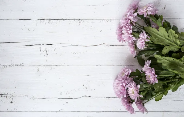 Picture flowers, background, pink, chrysanthemum, wood, pink, flowers, violet