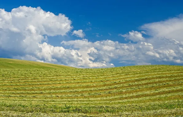 The sky, clouds, hills, field, Sunny, Washington, Walla Walla