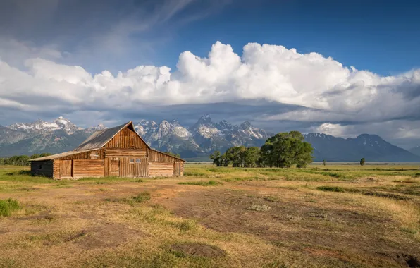 Field, summer, the sky, grass, clouds, trees, landscape, mountains