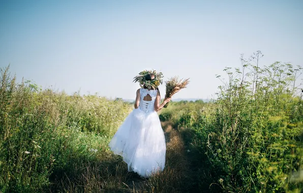 Picture grass, girl, back, the bride, wreath