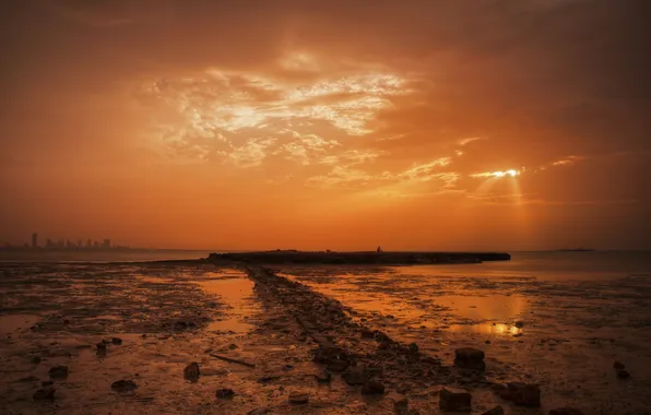 Sea, the sky, landscape, night