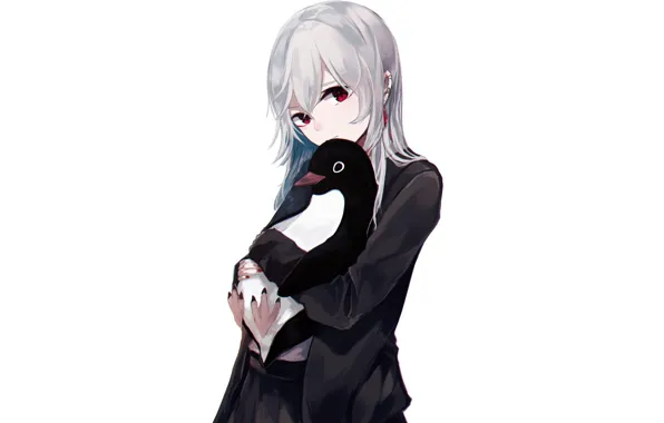 Picture penguins, girl, background