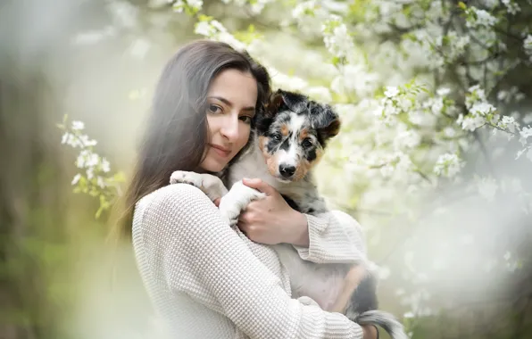 Picture girl, dog, spring