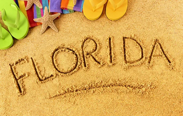 Beach, summer, nature, stay, vacation, summer, beach, nature