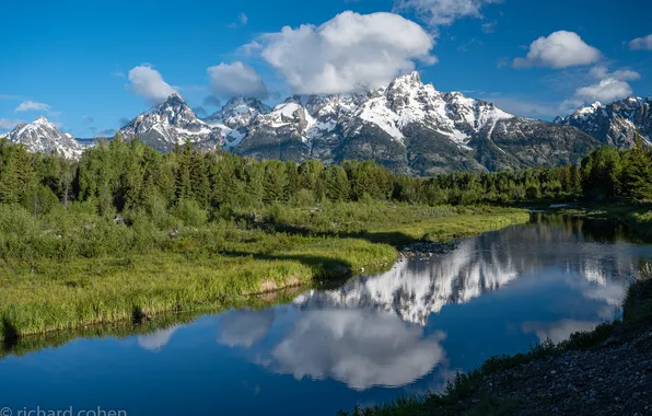Forest, landscape, mountains, reflection, river