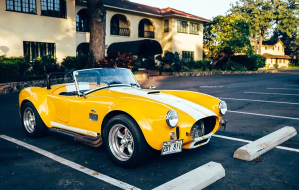 Shelby, Car, Auto, Front, Cobra, Yellow, 427, Sportcar