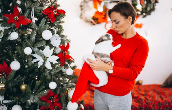 Girl, room, woman, kiss, rabbit, Christmas, New year, Bunny