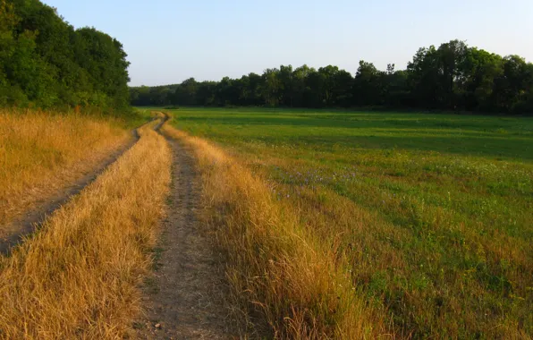 Picture field, nature, track, Nature, path, field, track