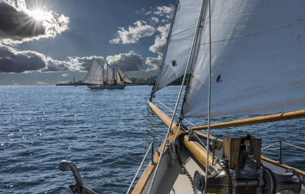 Picture sailboat, Portland, Bay, sails, Portland, Maine, Man, schooner