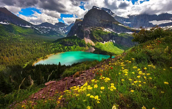 Clouds, landscape, flowers, mountains, nature, lake, slope, forest