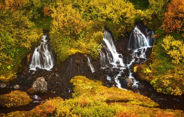 Autumn, forest, stones, rocks, vegetation, waterfall, slope, waterfalls