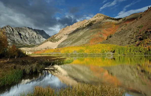 Autumn, forest, mountains, river