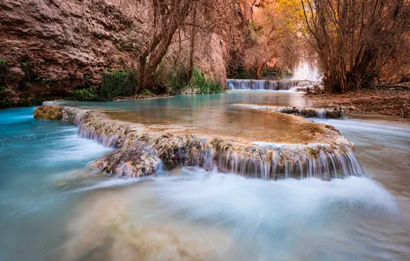 Trees, stream, rocks, waterfall, canyon, USA, cascade, Arizona