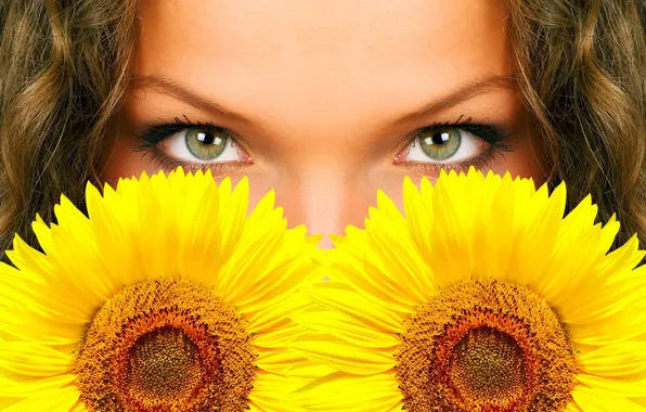 Picture eyes, flowers, sunflower