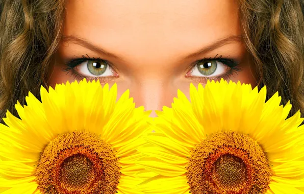 Eyes, flowers, sunflower