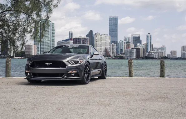 Picture Mustang, Ford, S550, Velgen, Wheels VMB6 SB