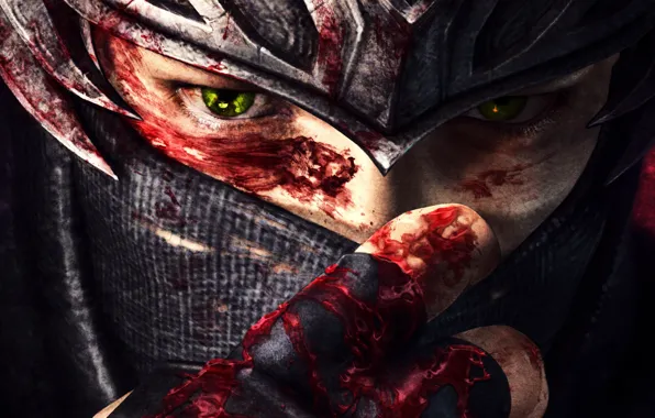 Picture eyes, blood, The game, art, Ninja Gaiden 3