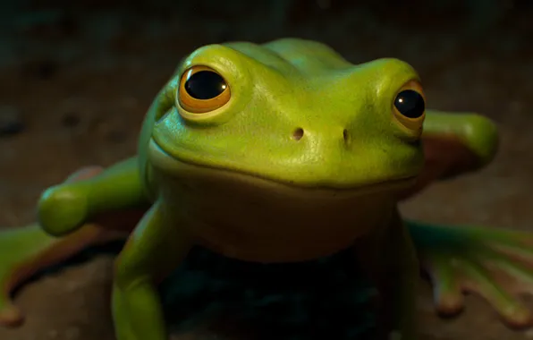 Frog, art, children's, julien nicolas, McDONALD'S COMMERCIAL