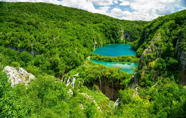 Picture greens, forest, the sun, trees, lake, rocks, waterfall, the view from the top
