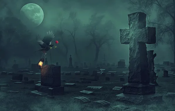 Rose, cross, cemetery, Raven
