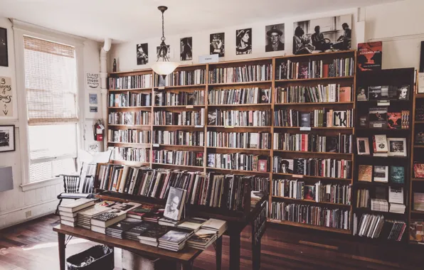 Books, window, shelf, library, portraits, patrick brinksma