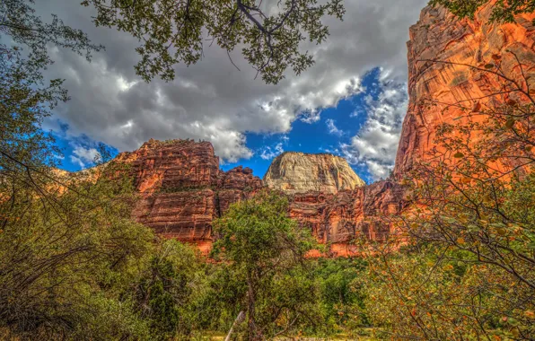 Picture forest, the sky, clouds, trees, mountains, branches, rocks, foliage