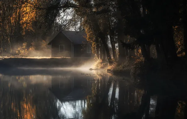 Autumn, fog, house, pond, morning