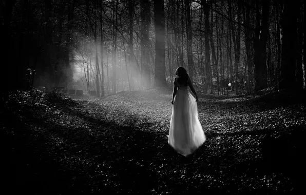 Picture forest, girl, dress, b & W photo