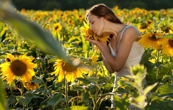 Field, girl, sunflowers