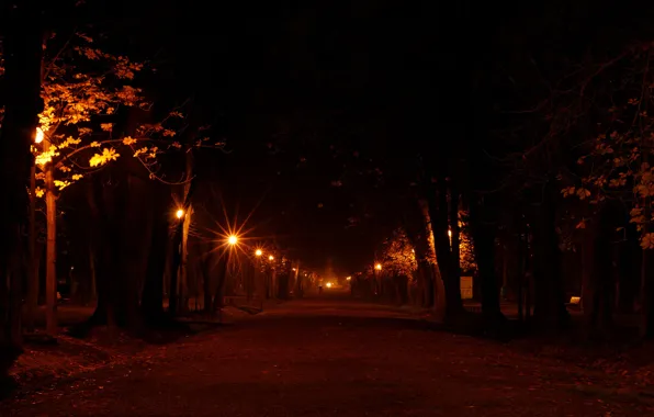 Road, light, trees, night, lights, city, tree, mood