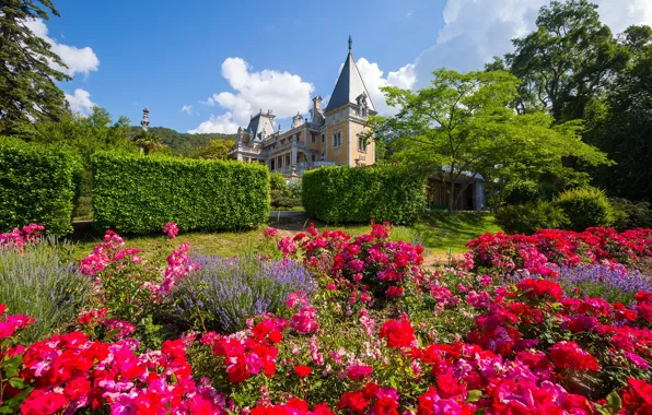 Picture flowers, Park, trees, the bushes, the city, Massandra Palace, Yalta, Crimea