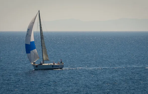 Sea, coast, sport, yacht, team, sails