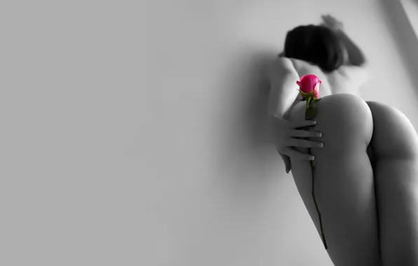Ass, wall, rose