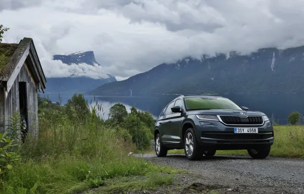 Grass, clouds, mountains, the barn, SUV, Skoda, Skoda, 2016