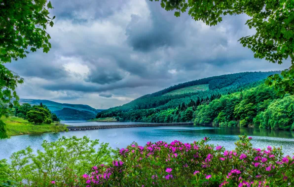 Greens, forest, clouds, trees, flowers, river, HDR, UK