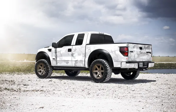 Picture white, the sky, the sun, Ford, white, Ford, Blik, Raptor