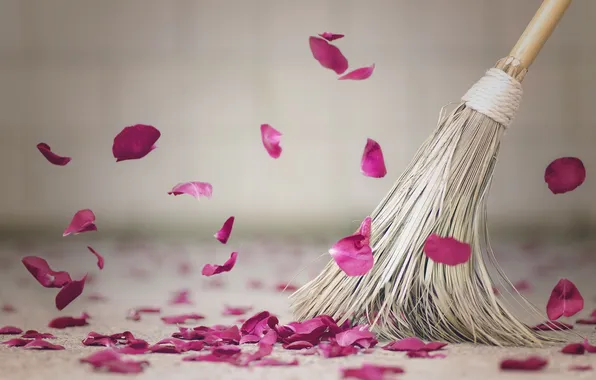 Picture background, petals, broom