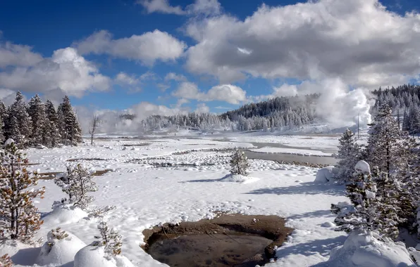 Landscape, winter, Yellowstone National Park, Norris Geyser Basin