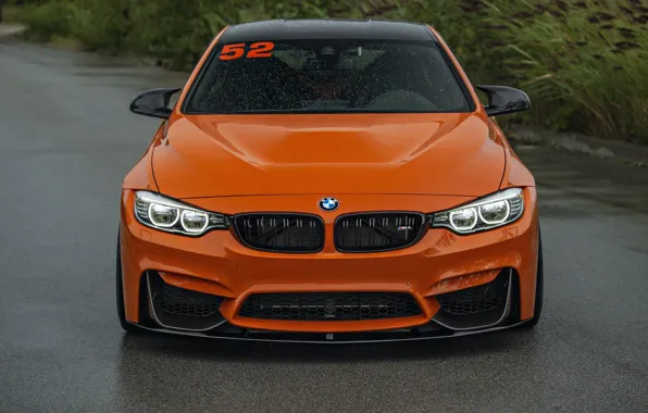 Picture Face, LED, Light, Orange, F82, BMW, Sight