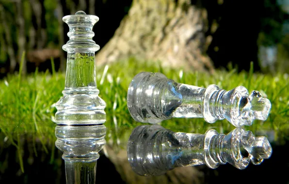 Picture grass, glass, water, macro, nature, reflection, the game, chess